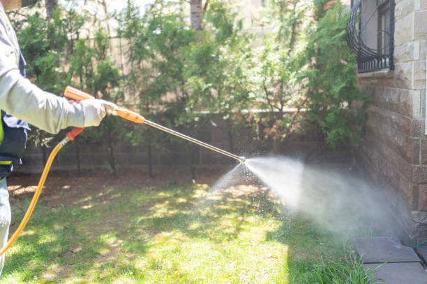 Best Seasonal Pest Control (e.g., summer mosquitoes, winter rodents)  in East Norwich, NY